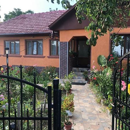 Casuta Bunicilor Isverna Hotel Екстериор снимка