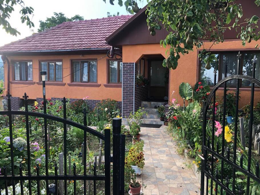 Casuta Bunicilor Isverna Hotel Екстериор снимка