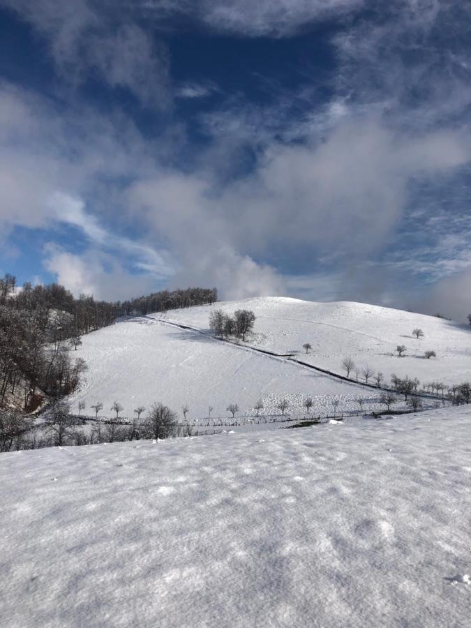 Casuta Bunicilor Isverna Hotel Екстериор снимка