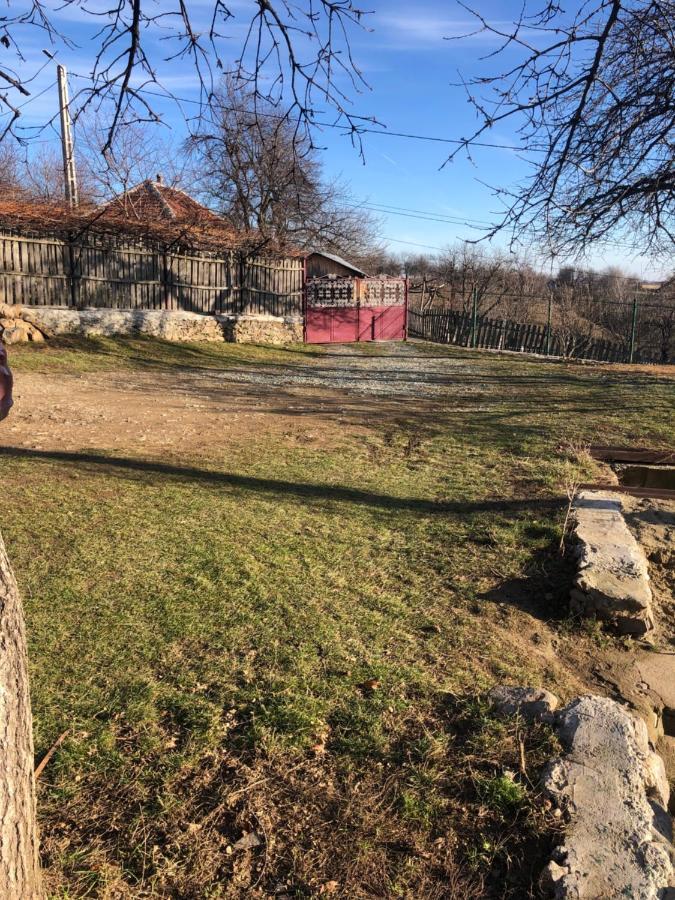 Casuta Bunicilor Isverna Hotel Екстериор снимка